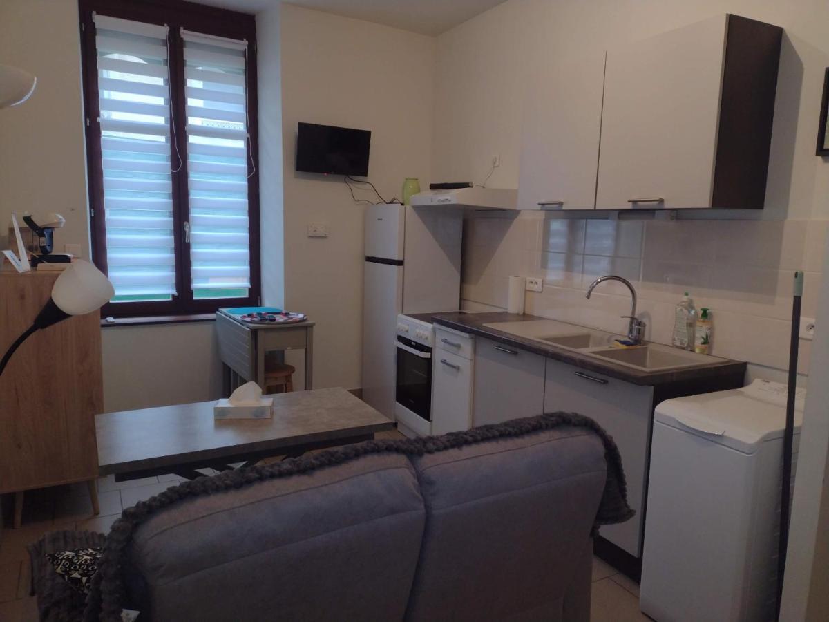 Appartement Rdc Chez Caroline Bourbonne les Bains Bagian luar foto